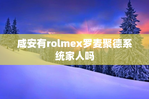 咸安有rolmex罗麦聚德系统家人吗