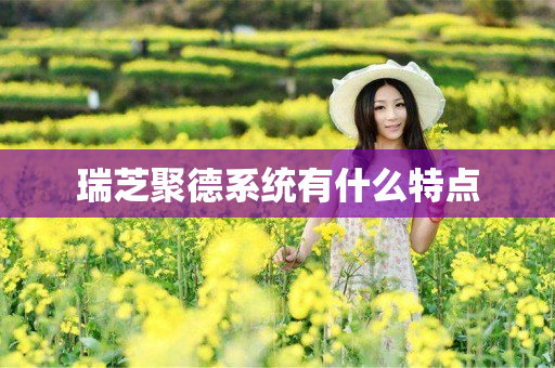 瑞芝聚德系统有什么特点