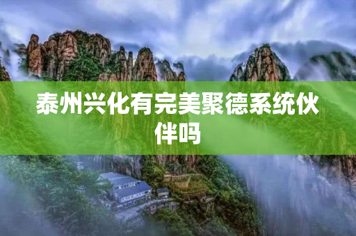 泰州兴化有完美聚德系统伙伴吗