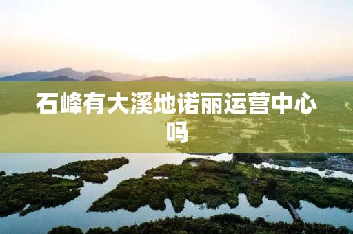 石峰有大溪地诺丽运营中心吗