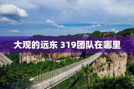 大观的远东 319团队在哪里