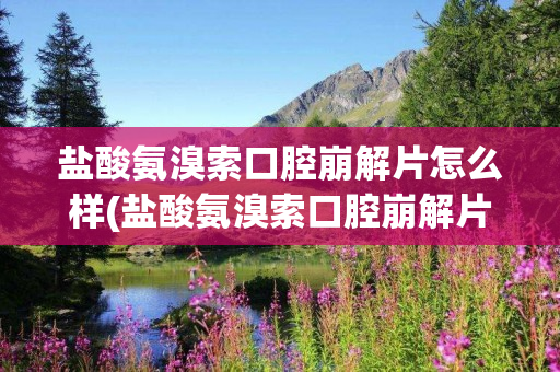 盐酸氨溴索口腔崩解片怎么样(盐酸氨溴索口腔崩解片儿童用量)