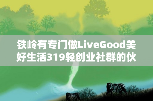 铁岭有专门做LiveGood美好生活319轻创业社群的伙伴吗