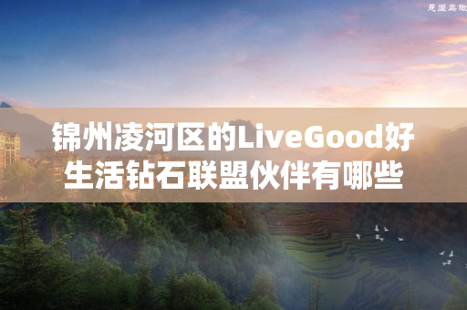 锦州凌河区的LiveGood好生活钻石联盟伙伴有哪些