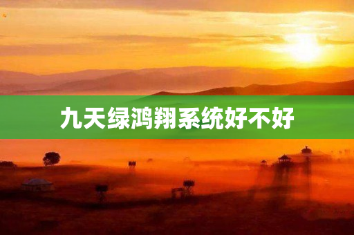 九天绿鸿翔系统好不好