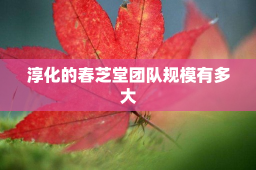 淳化的春芝堂团队规模有多大