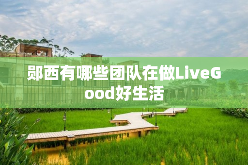 郧西有哪些团队在做LiveGood好生活