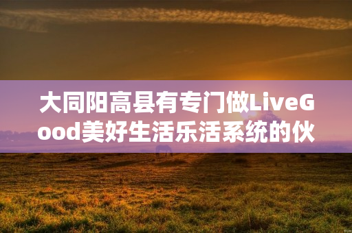 大同阳高县有专门做LiveGood美好生活乐活系统的伙伴吗