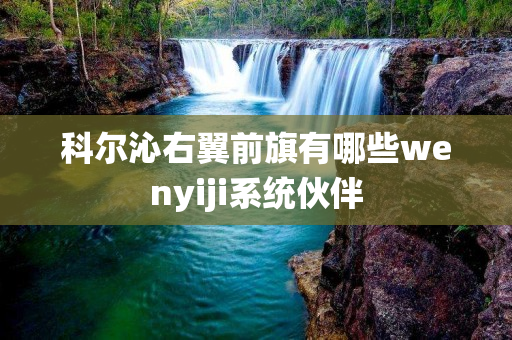 科尔沁右翼前旗有哪些wenyiji系统伙伴