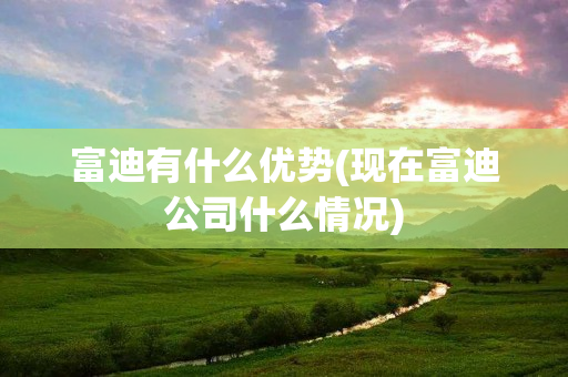 富迪有什么优势(现在富迪公司什么情况)