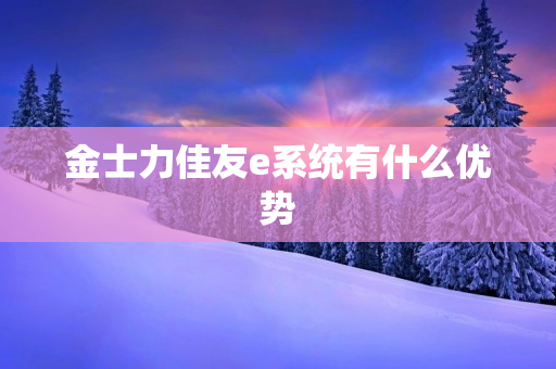 金士力佳友e系统有什么优势
