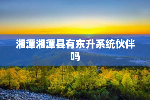 湘潭湘潭县有东升系统伙伴吗