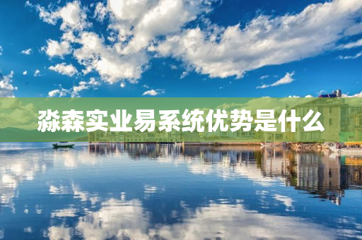淼森实业易系统优势是什么