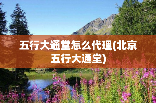 五行大通堂怎么代理(北京五行大通堂)
