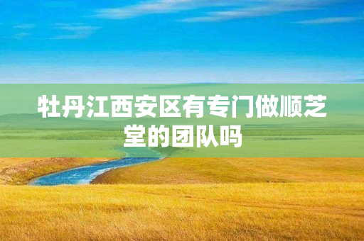 牡丹江西安区有专门做顺芝堂的团队吗