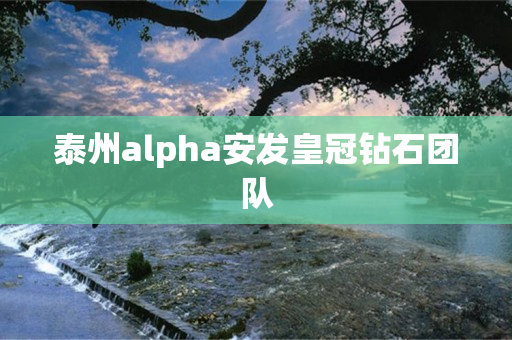 泰州alpha安发皇冠钻石团队