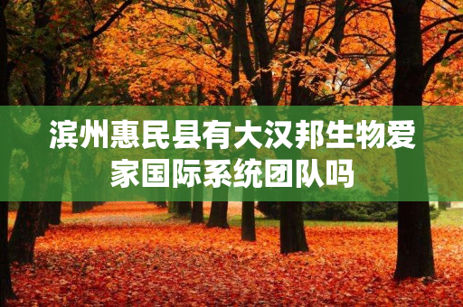 滨州惠民县有大汉邦生物爱家国际系统团队吗