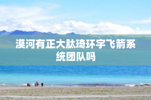 漠河有正大肽琦环宇飞箭系统团队吗