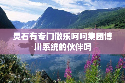 灵石有专门做乐呵呵集团博川系统的伙伴吗
