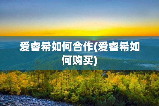 爱睿希如何合作(爱睿希如何购买)