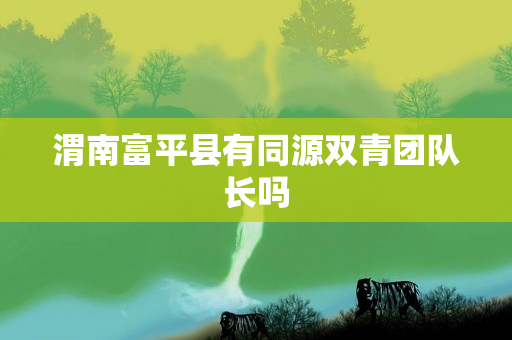 渭南富平县有同源双青团队长吗