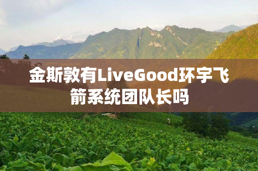 金斯敦有LiveGood环宇飞箭系统团队长吗