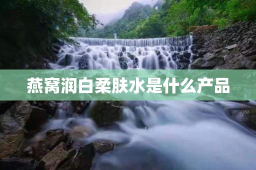 燕窝润白柔肤水是什么产品