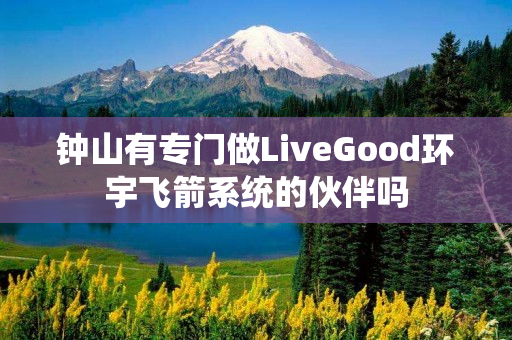 钟山有专门做LiveGood环宇飞箭系统的伙伴吗