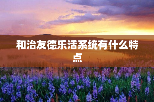 和治友德乐活系统有什么特点