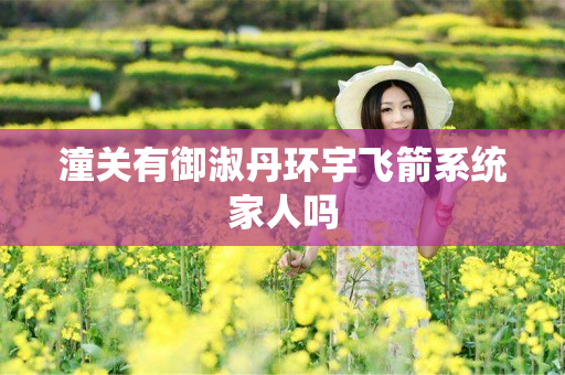 潼关有御淑丹环宇飞箭系统家人吗