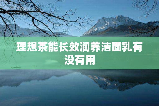 理想茶能长效润养洁面乳有没有用