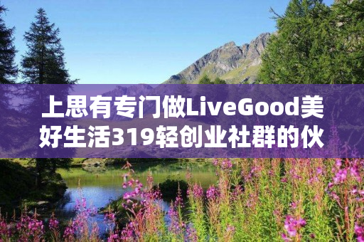 上思有专门做LiveGood美好生活319轻创业社群的伙伴吗