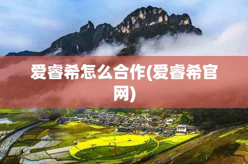 爱睿希怎么合作(爱睿希官网)