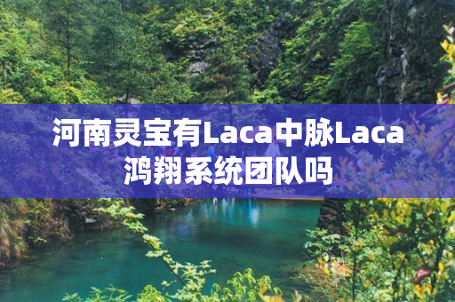 河南灵宝有Laca中脉Laca鸿翔系统团队吗