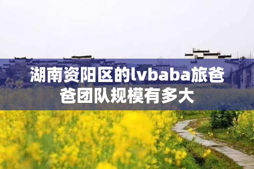 湖南资阳区的lvbaba旅爸爸团队规模有多大