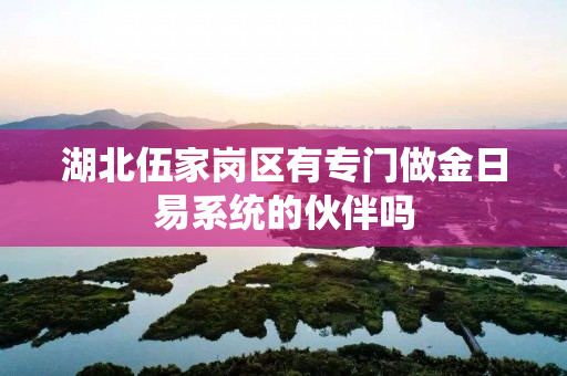 湖北伍家岗区有专门做金日易系统的伙伴吗