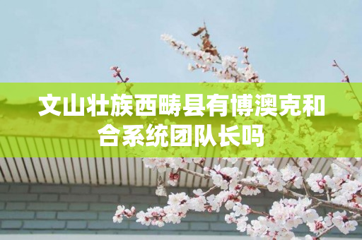 文山壮族西畴县有博澳克和合系统团队长吗