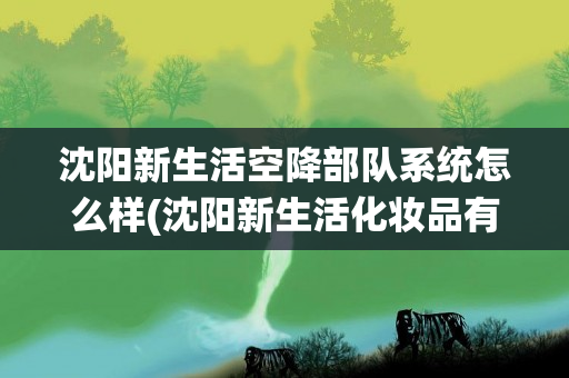 沈阳新生活空降部队系统怎么样(沈阳新生活化妆品有限公司)