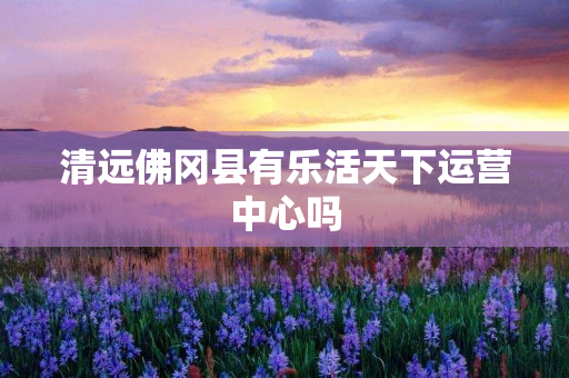清远佛冈县有乐活天下运营中心吗