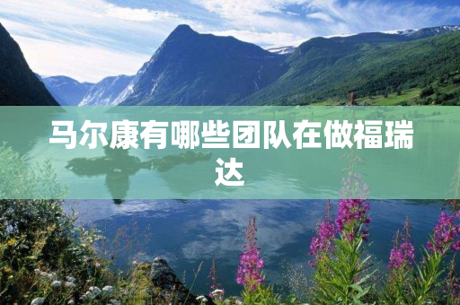 马尔康有哪些团队在做福瑞达