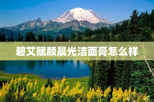 碧艾赋颜晨光洁面膏怎么样