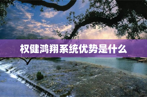 权健鸿翔系统优势是什么