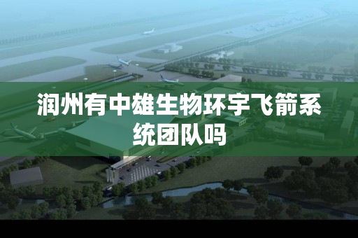 润州有中雄生物环宇飞箭系统团队吗