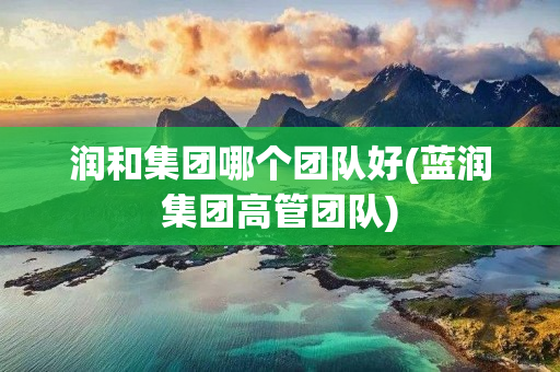 润和集团哪个团队好(蓝润集团高管团队)