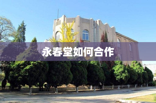 永春堂如何合作