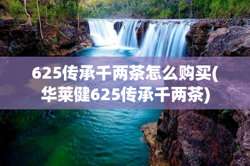 625传承千两茶怎么购买(华莱健625传承千两茶)