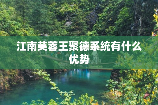 江南芙蓉王聚德系统有什么优势