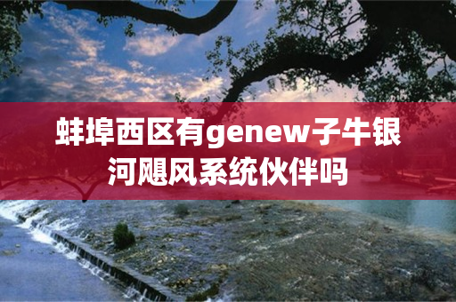 蚌埠西区有genew子牛银河飓风系统伙伴吗