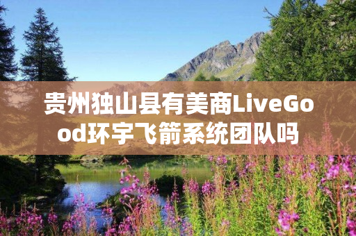 贵州独山县有美商LiveGood环宇飞箭系统团队吗