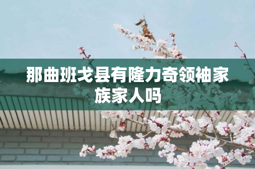 那曲班戈县有隆力奇领袖家族家人吗